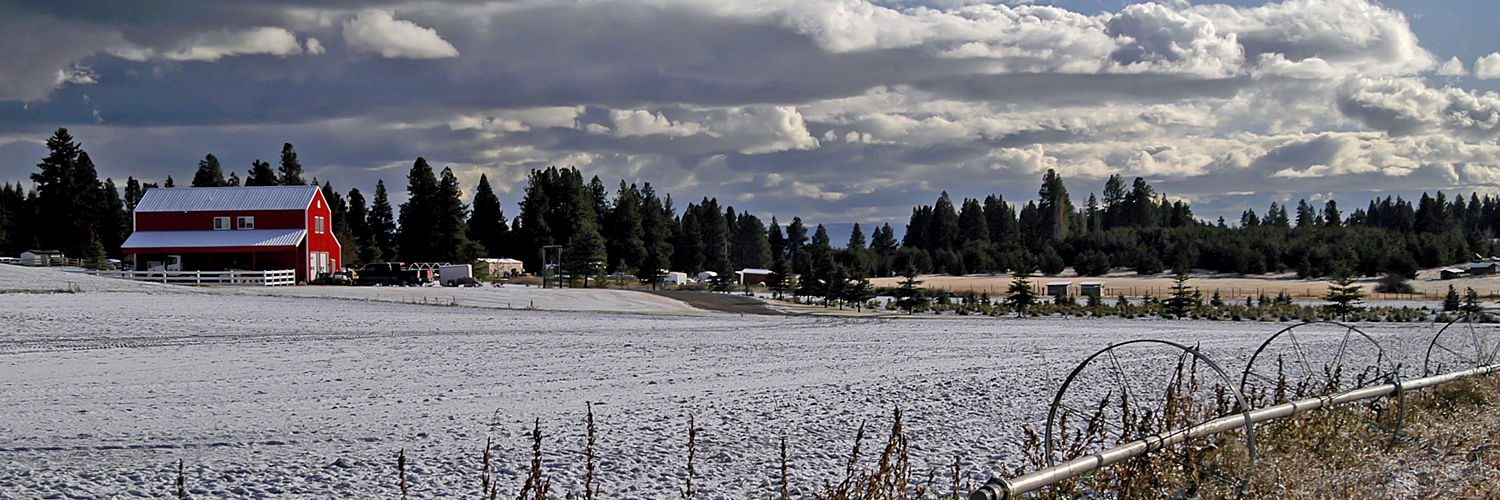 Banner image of Columbia Falls